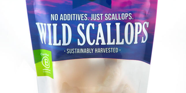 Bristol-Wild-Scallop-Bag-Front (1)